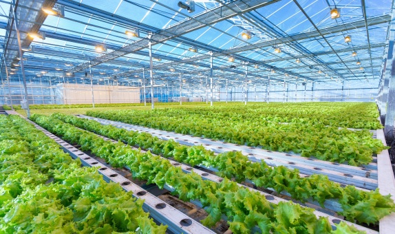 Assan Panel Azerbaycan Tesisinde Yeni Ürün Üretimine Başladı