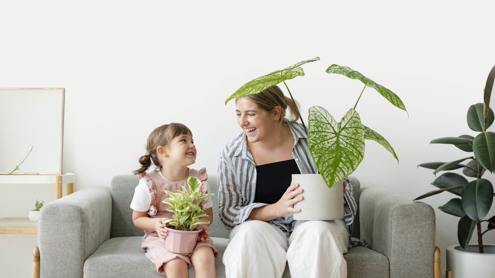 DYO OXYMAX Türkiye'de Çevre Etiketi Alan İlk İç Cephe Boyası Oldu