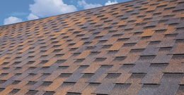 Türkiye'de ilk ve tek üretim: BTM Shingle Dragon