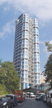 Selenium Panorama