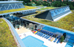 Nefes Alan Şehirler için Bitkilendirilmiş Yeşil Çatılar Nefes Alan Şehirler için Bitkilendirilmiş Yeşil Çatılar