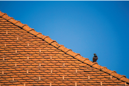 Konutlarda Çatı Aralarının Kullanımı Konutlarda Çatı Aralarının Kullanımı