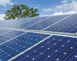 ÇATIDER'den Çevre Haftası'nda Çağrı